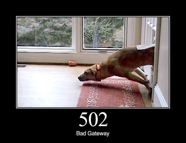 502_bad_gateway.jpg