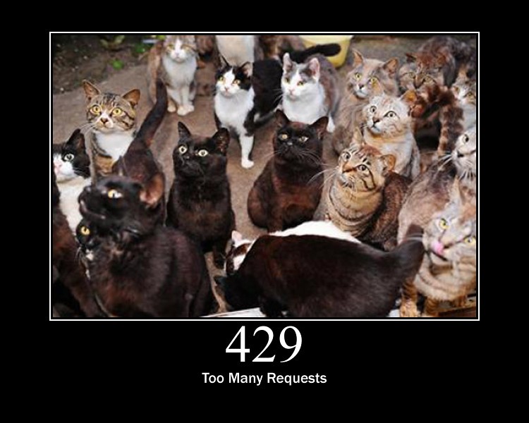 429_too_many_requests.jpg